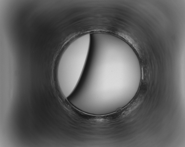 X0000098000253200803241047