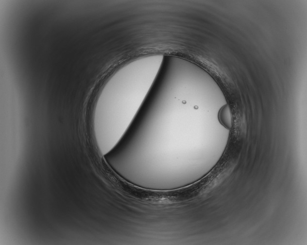 X0000098000254200803241047
