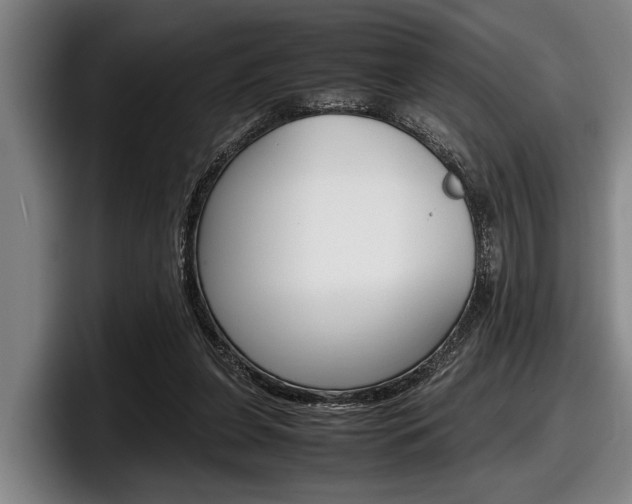 X0000098000255200803241047