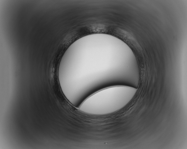 X0000098000263200803241047