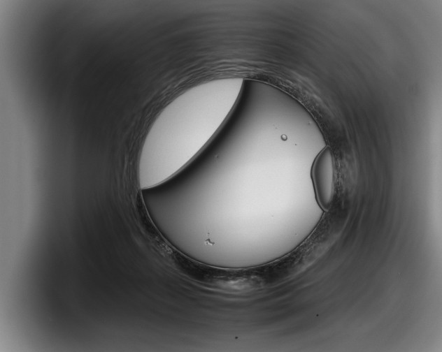 X0000098000267200803241047