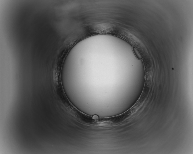 X0000098000268200803241047