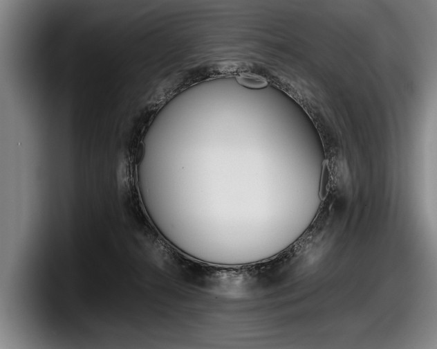 X0000098000272200803241047