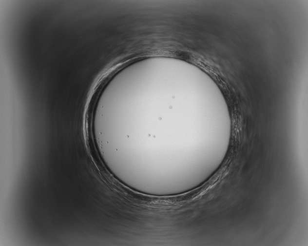 X0000098000294200803241047