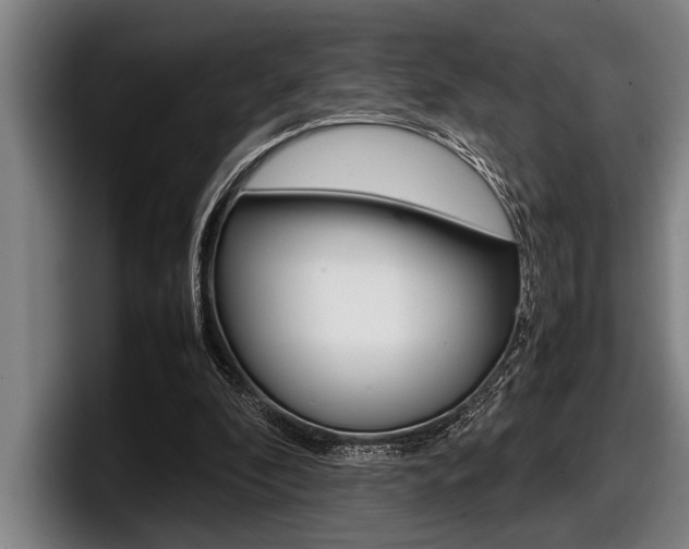 X0000098000296200803241047