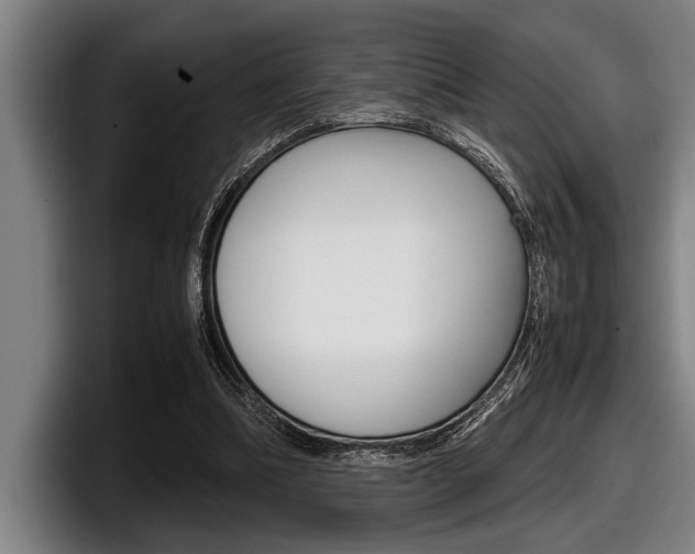 X0000098000298200803241047