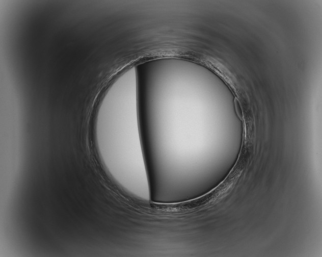 X0000098000301200803241047