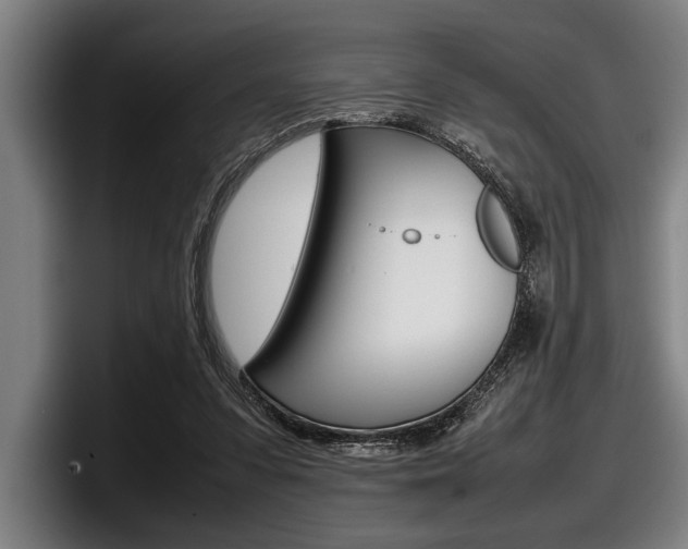 X0000098000303200803241047