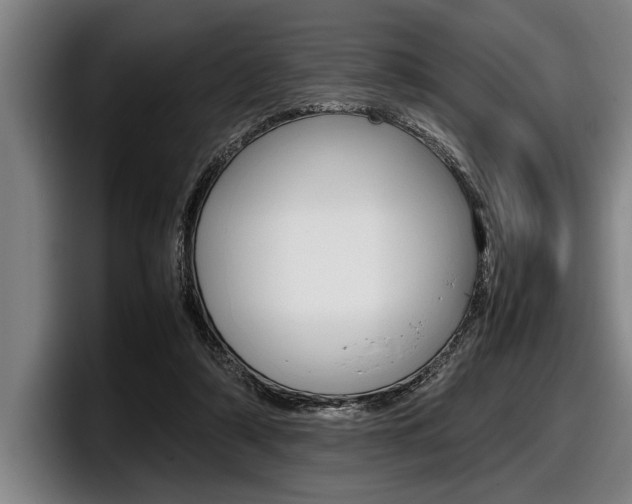 X0000098000306200803241047
