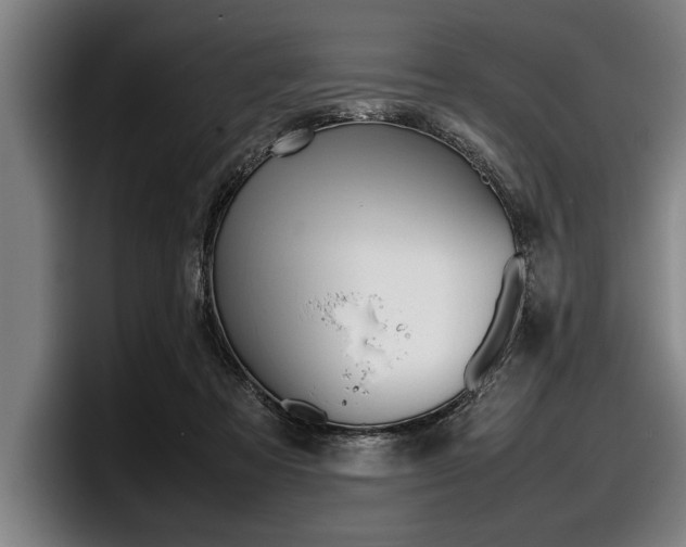 X0000098000313200803241047