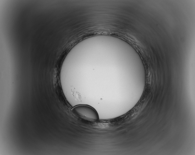 X0000098000318200803241047