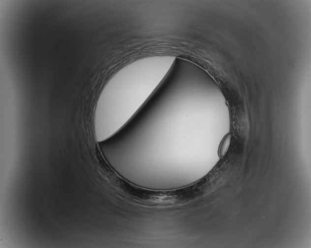 X0000098000319200803241047