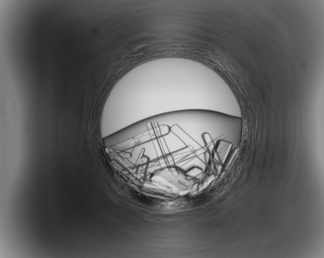 X0000098000323200803241047