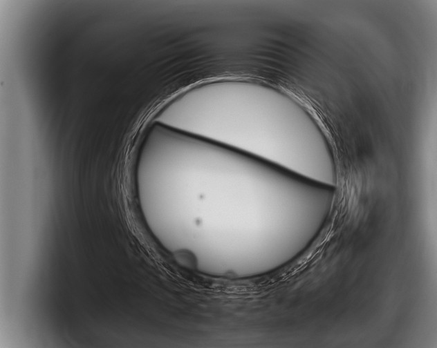X0000098000337200803241046