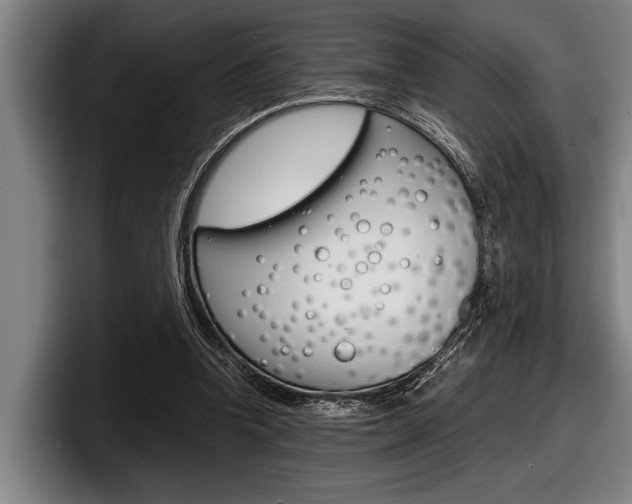 X0000098000346200803241046