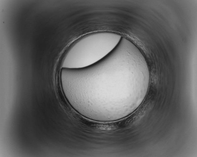X0000098000347200803241046