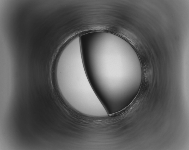 X0000098000350200803241046