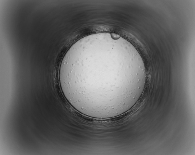 X0000098000359200803241046