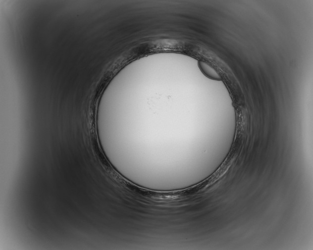 X0000098000361200803241046