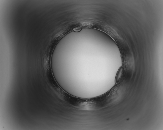 X0000098000364200803241046