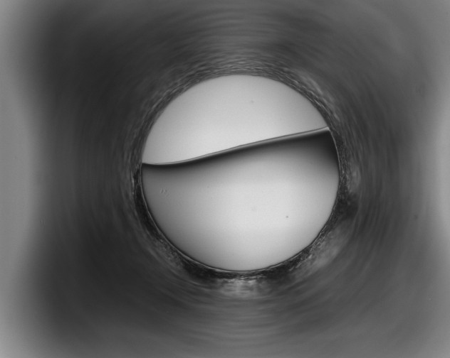 X0000098000366200803241046