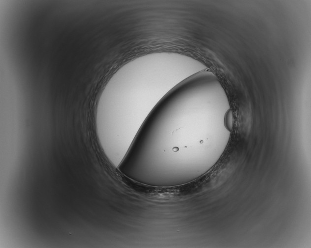X0000098000368200803241046
