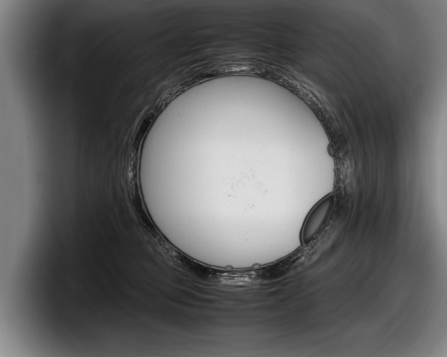 X0000098000373200803241046