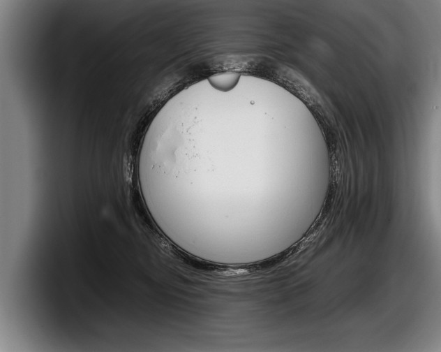 X0000098000374200803241046