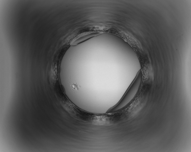 X0000098000376200803241046