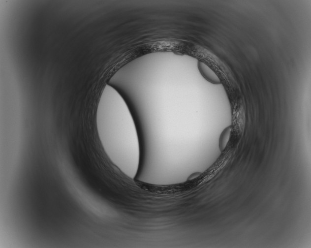 X0000098000381200803241046