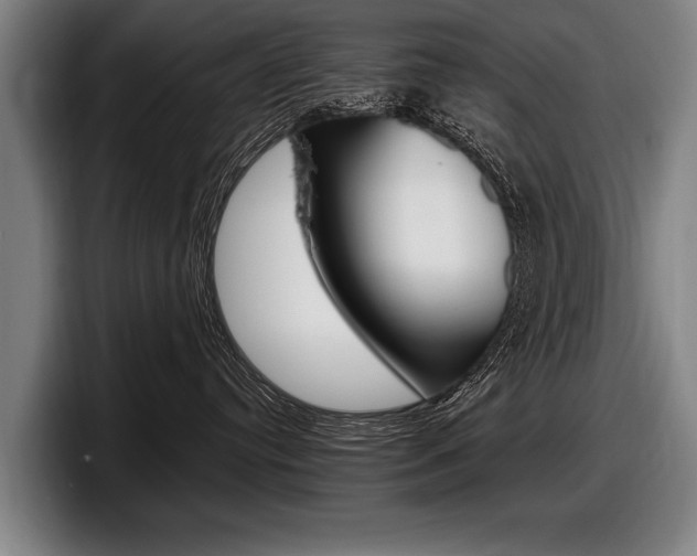 X0000098000384200803241046