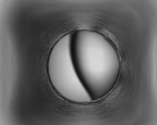 X0000098000385200803241046