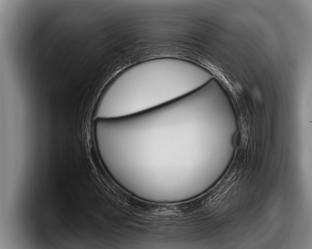 X0000098000386200803241046