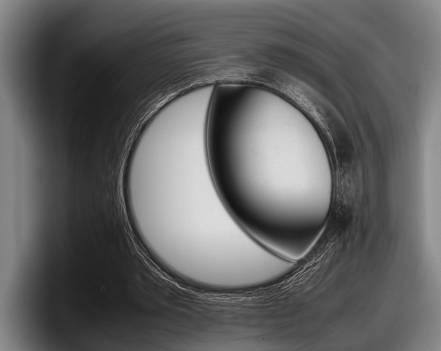 X0000098000389200803241046