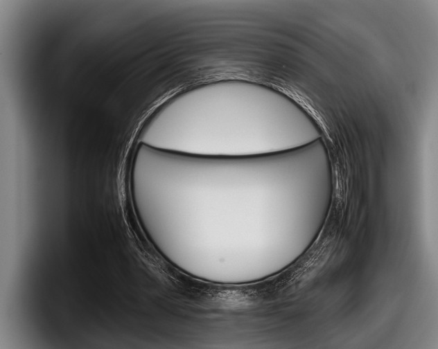 X0000098000390200803241046