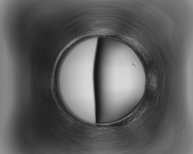 X0000098000392200803241046