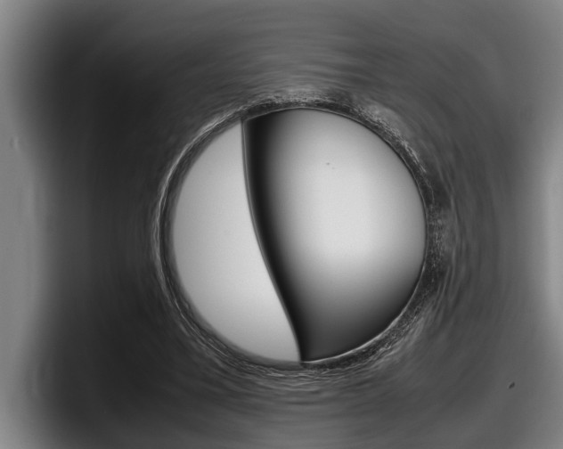 X0000098000395200803241046