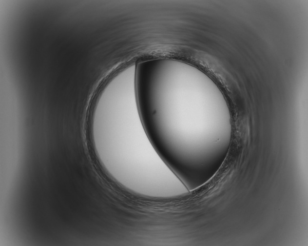 X0000098000399200803241046