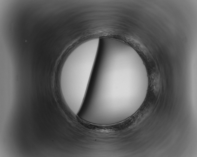 X0000098000400200803241046