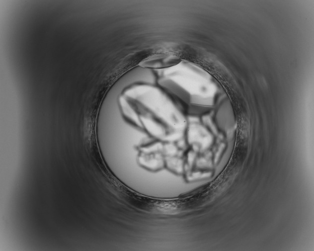 X0000098000409200803241045