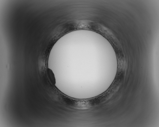 X0000098000415200803241045