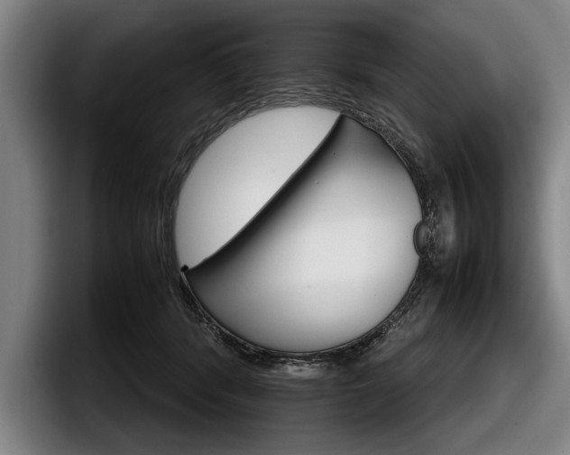 X0000098000416200803241045