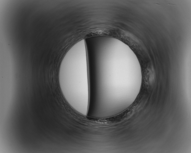 X0000098000420200803241045
