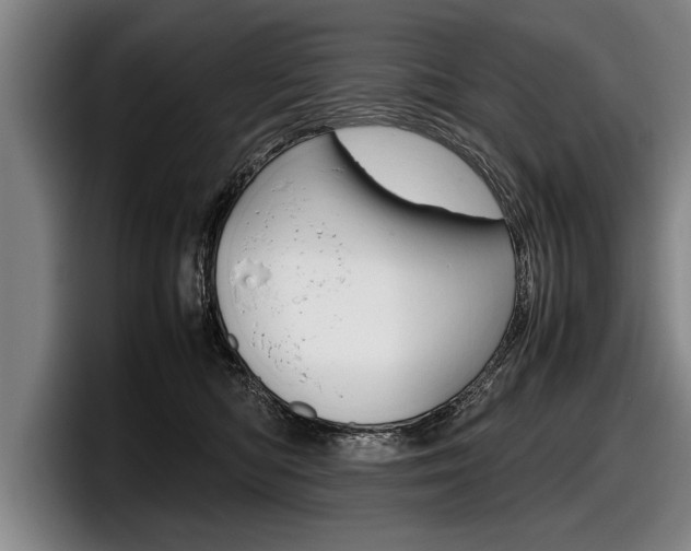 X0000098000422200803241045