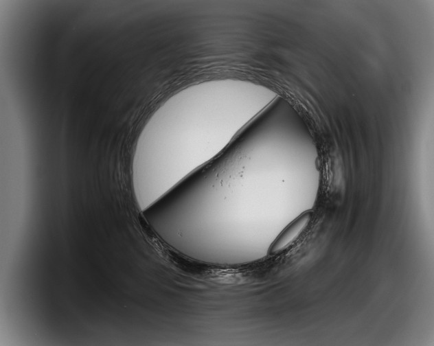 X0000098000424200803241045