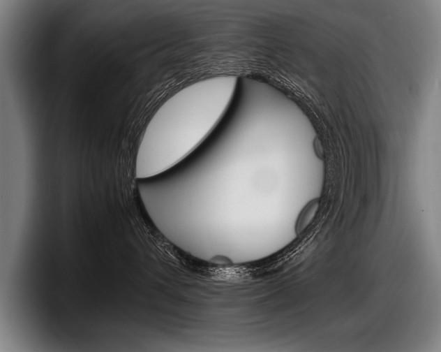 X0000098000432200803241045