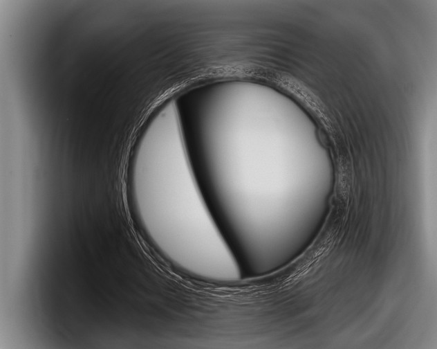 X0000098000434200803241045