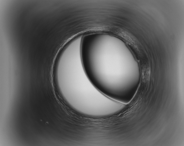 X0000098000436200803241045