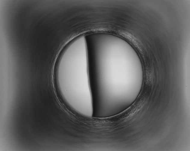 X0000098000439200803241045