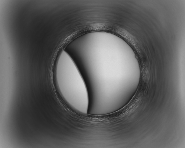 X0000098000442200803241045